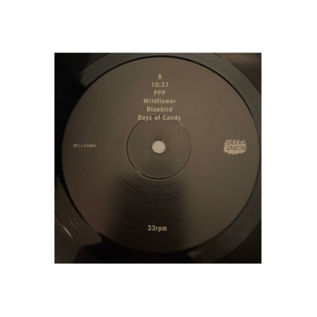 5400863086114, Виниловая пластинка Beach House, Depression Cherry - фото 4