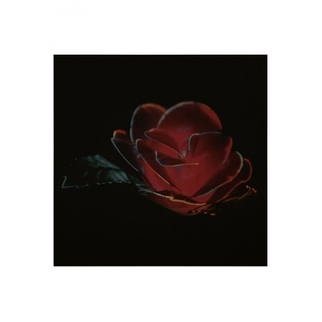 5400863086114, Виниловая пластинка Beach House, Depression Cherry - фото 5