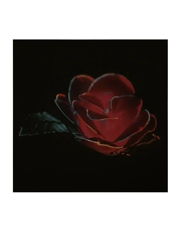 5400863086114, Виниловая пластинка Beach House, Depression Cherry - фото 5