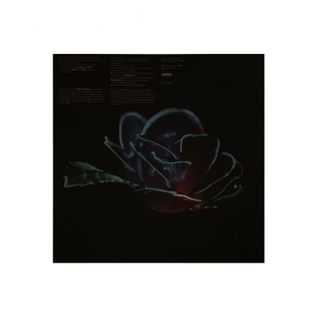 5400863086114, Виниловая пластинка Beach House, Depression Cherry - фото 6