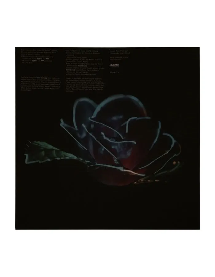 5400863086114, Виниловая пластинка Beach House, Depression Cherry - фото 6