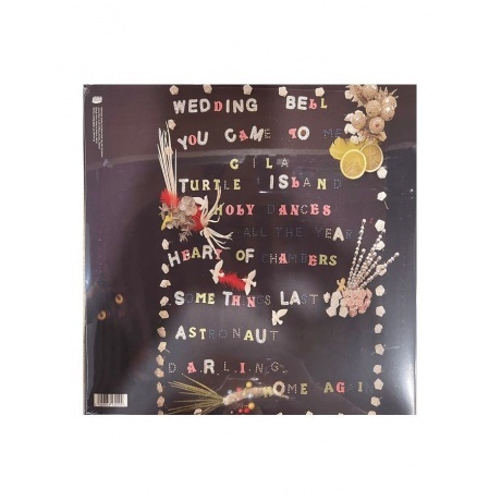 Beach House - Devotion (5400863130299) виниловая пластинка - фото 2