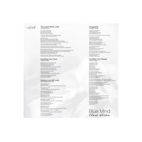 0771028241699, Виниловая пластинка Bisson, Anne, Blue Mind (Audiophile Edition) - фото 5