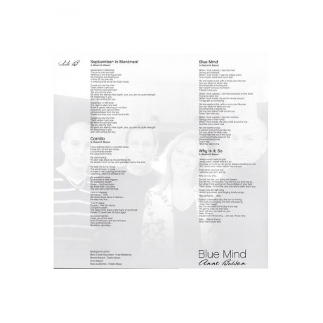 0771028241699, Виниловая пластинка Bisson, Anne, Blue Mind (Audiophile Edition) - фото 6