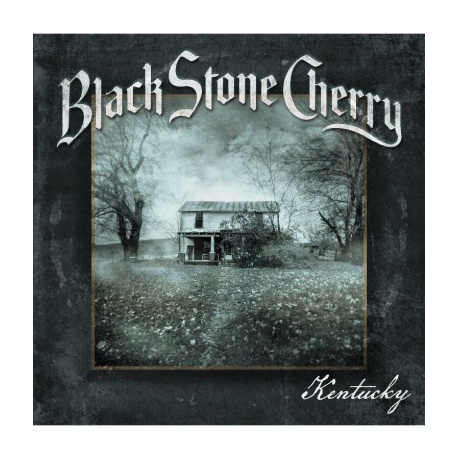0810020504965, Виниловая пластинка Black Stone Cherry, Kentucky (coloured) - фото 1