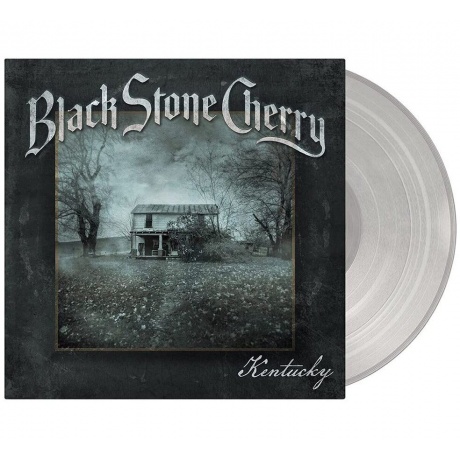 0810020504965, Виниловая пластинка Black Stone Cherry, Kentucky (coloured) - фото 2