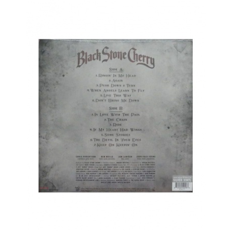0810020502466, Виниловая пластинка Black Stone Cherry, The Human Condition (coloured) - фото 2