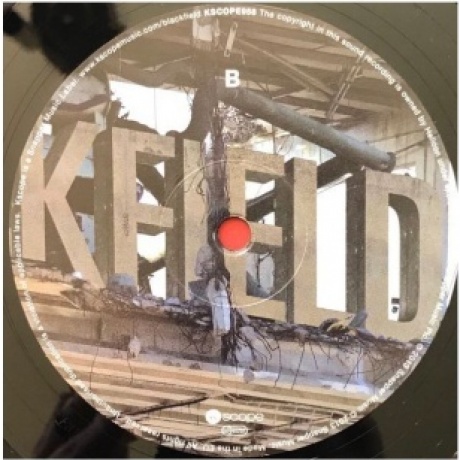 Blackfield - Blackfield II (0802644895819) виниловая пластинка - фото 6