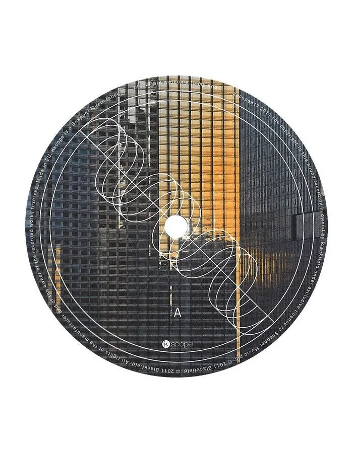 0802644581712, Виниловая пластинка Blackfield, Welcome To My DNA - фото 9