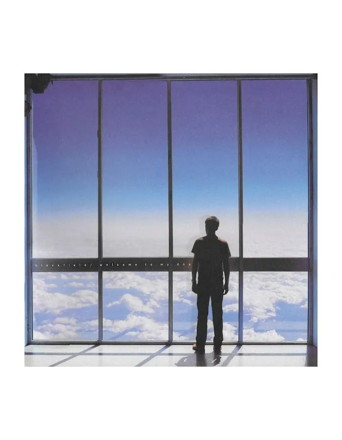 0802644581712, Виниловая пластинка Blackfield, Welcome To My DNA - фото 1
