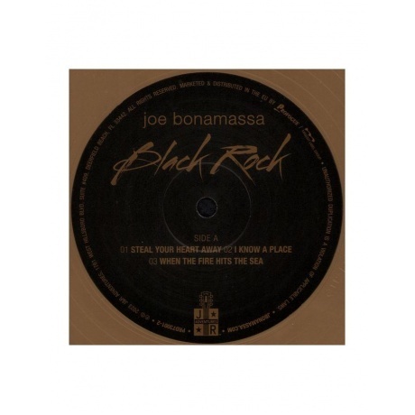 Joe Bonamassa - Black Rock (Solid Gold) (8712725746409) виниловая пластинка - фото 6
