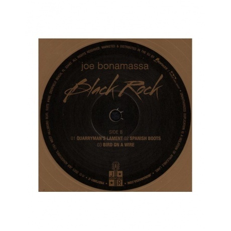Joe Bonamassa - Black Rock (Solid Gold) (8712725746409) виниловая пластинка - фото 7