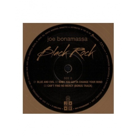 Joe Bonamassa - Black Rock (Solid Gold) (8712725746409) виниловая пластинка - фото 9