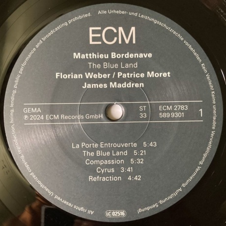 Matthieu Bordenave - The Blue Land (0602458993011) виниловая пластинка - фото 3