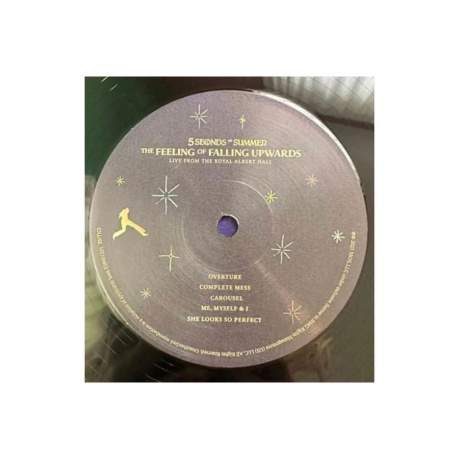 4050538901238, Виниловая пластинка 5 Seconds Of Summer, The Feeling Of Falling Upwards - фото 2