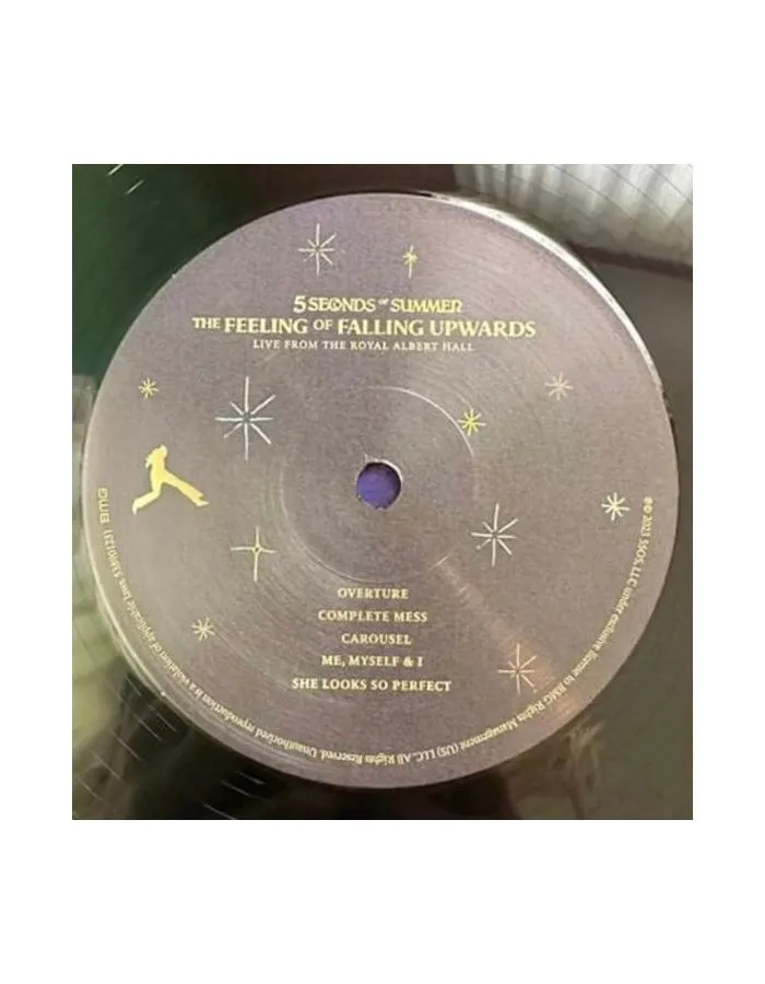 4050538901238, Виниловая пластинка 5 Seconds Of Summer, The Feeling Of Falling Upwards - фото 2