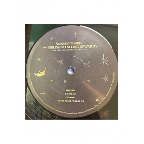 4050538901238, Виниловая пластинка 5 Seconds Of Summer, The Feeling Of Falling Upwards - фото 3