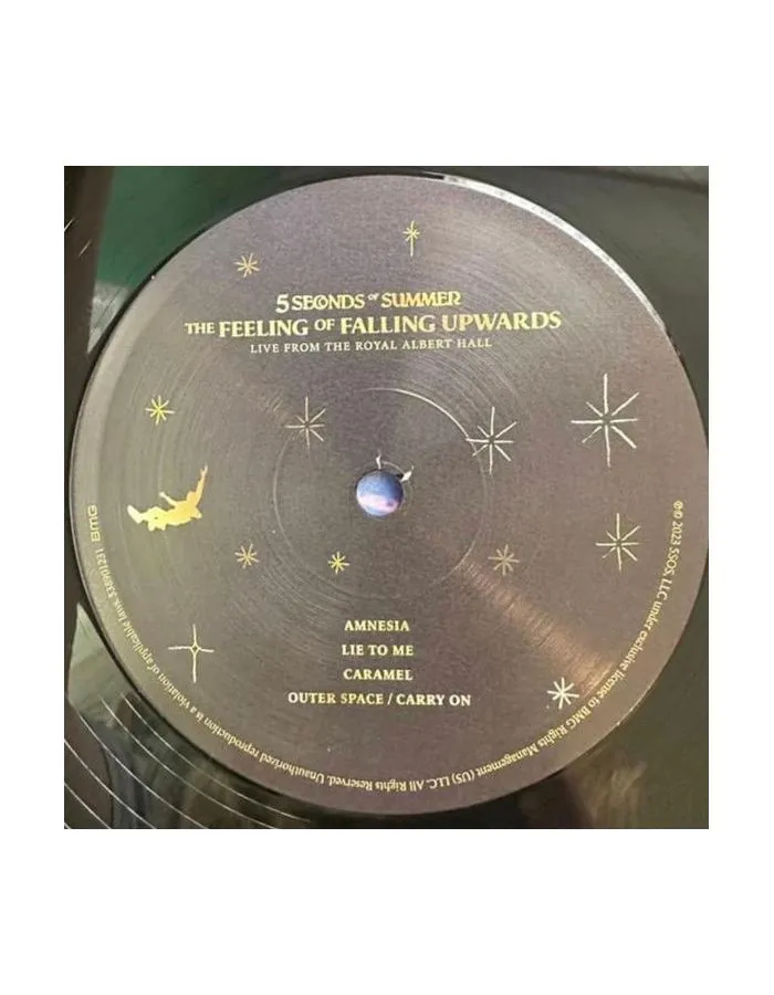 4050538901238, Виниловая пластинка 5 Seconds Of Summer, The Feeling Of Falling Upwards - фото 3