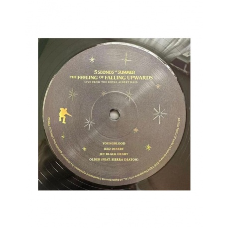 4050538901238, Виниловая пластинка 5 Seconds Of Summer, The Feeling Of Falling Upwards - фото 4