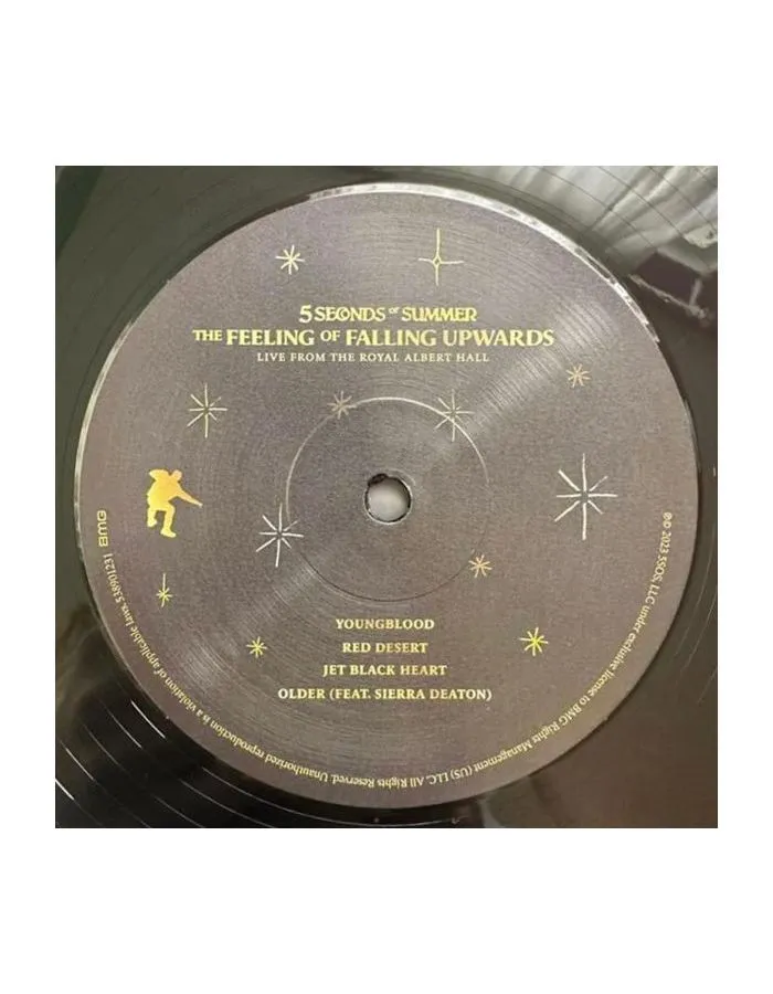 4050538901238, Виниловая пластинка 5 Seconds Of Summer, The Feeling Of Falling Upwards - фото 4