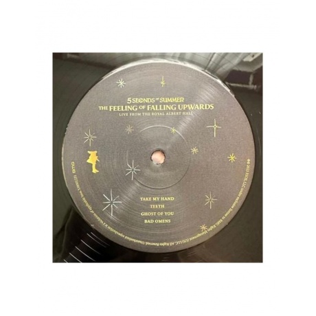 4050538901238, Виниловая пластинка 5 Seconds Of Summer, The Feeling Of Falling Upwards - фото 5