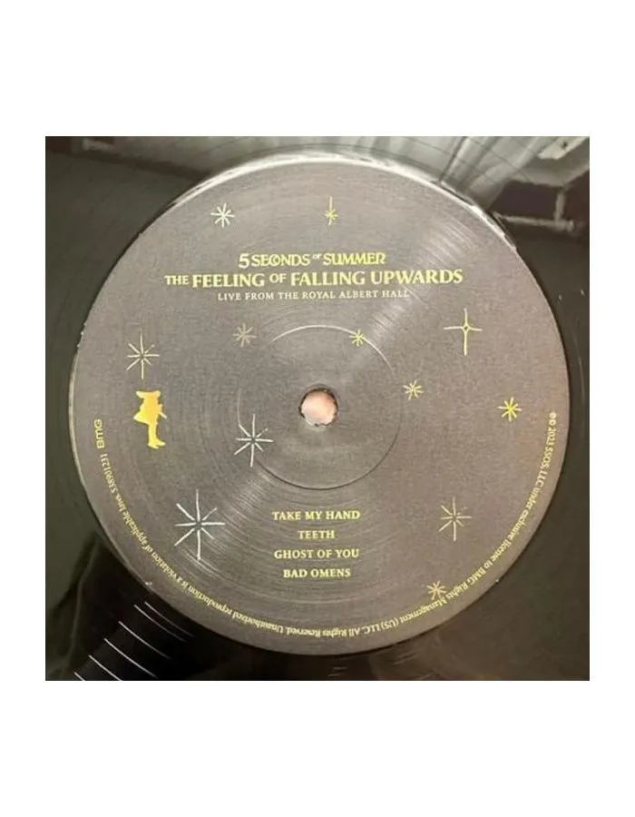 4050538901238, Виниловая пластинка 5 Seconds Of Summer, The Feeling Of Falling Upwards - фото 5