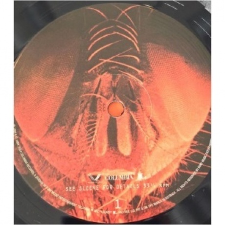 Alice In Chains - Jar Of Flies (0196588003714) виниловая пластинка - фото 3