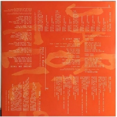 Alice In Chains - Jar Of Flies (0196588003714) виниловая пластинка - фото 6