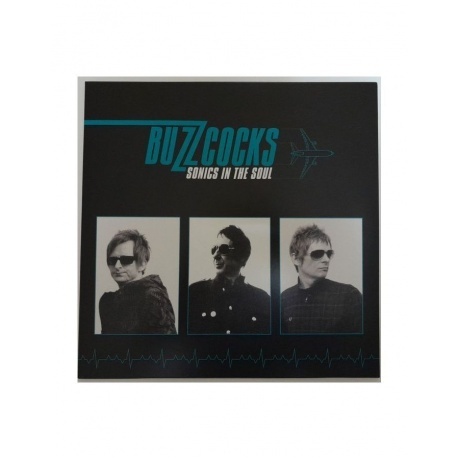 Buzzcocks - Sonics In The Soul (5013929185715) виниловая пластинка - фото 2