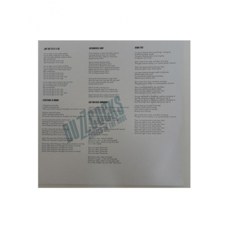 Buzzcocks - Sonics In The Soul (5013929185715) виниловая пластинка - фото 5