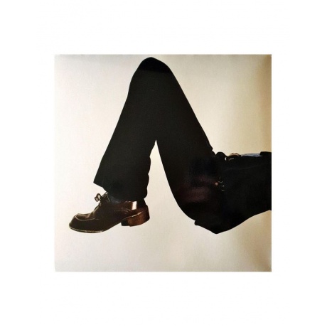 0191402017014, Виниловая пластинка Cocker, Jarvis, Further Complications - фото 6