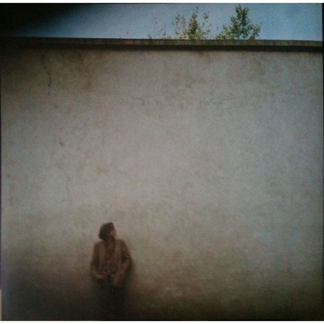 Jarvis Cocker - Jarvis (5050159834013) виниловая пластинка - фото 6