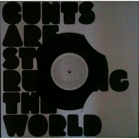 Jarvis Cocker - Jarvis (5050159834013) виниловая пластинка - фото 9