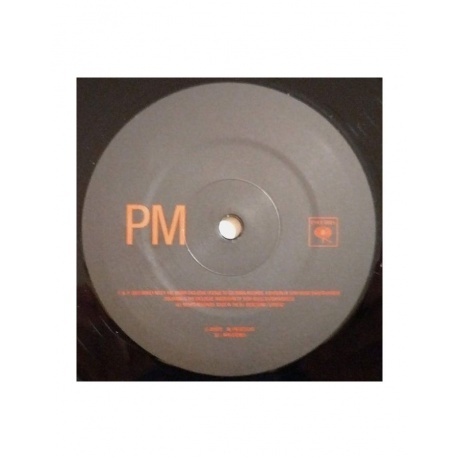 Miley Cyrus - Endless Summer Vacation (0196587813413) виниловая пластинка - фото 5