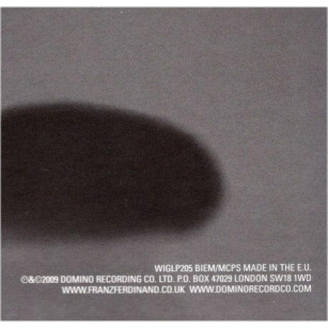 Franz Ferdinand - Tonight: Franz Ferdinand (2Lp) (5034202020516) виниловая пластинка - фото 8