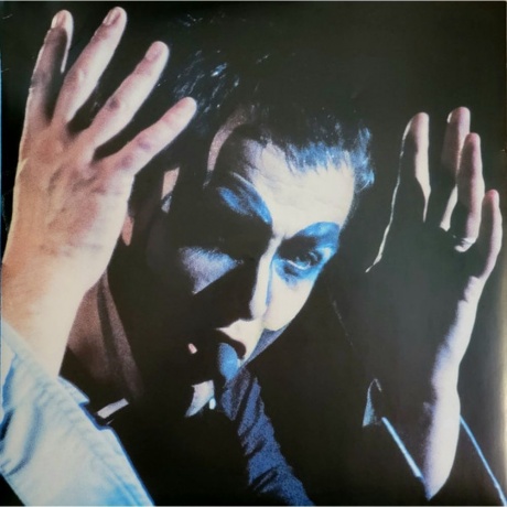 Peter Gabriel - Plays Live (0884108006177) виниловая пластинка - фото 9