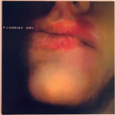 0644918001010, Harvey, PJ, Dry виниловая пластинка