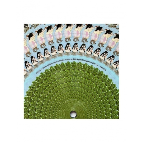 George Harrison - Wonderwall Music (zoetrope picture) (4050538981841) виниловая пластинка - фото 6