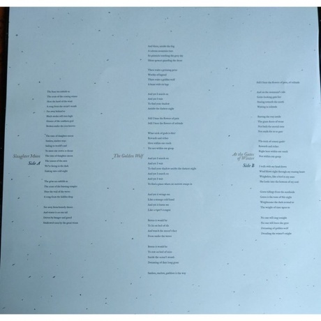 Insomnium - Winter's Gate (coloured) (0196588688911) виниловая пластинка - фото 4