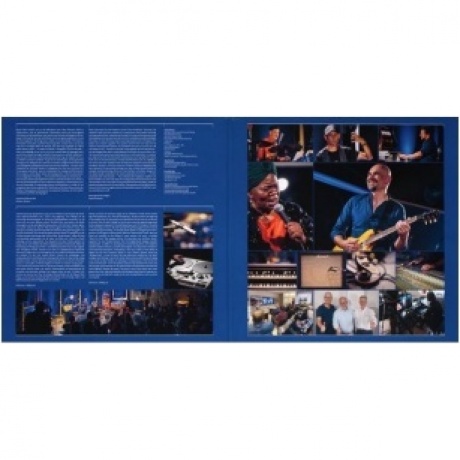 Jens Filser Organic Blues Project - Jens Filser Organic Blues Project Feat. Brenda Boykin (Audiophile Edition) (4250701330500) виниловая пластинка - фото 8