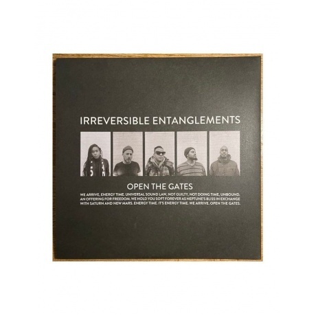 Irreversible Entanglements - Open The Gates (0789993991549) виниловая пластинка - фото 2