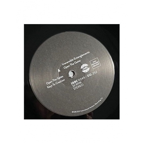 Irreversible Entanglements - Open The Gates (0789993991549) виниловая пластинка - фото 5