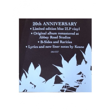 0602458643374, Виниловая пластинка Keane, Hopes And Fears - deluxe (coloured) - фото 18