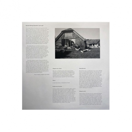 0028948164974, Виниловая пластинка Danish String Quartet, The, Last Leaf - фото 5