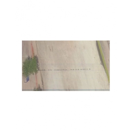 0197342072274, Виниловая пластинка Devin The Dude, Acoustic Levitation (coloured) - фото 13