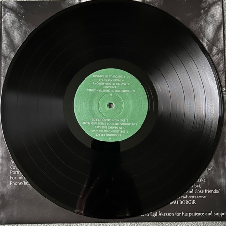 Dimmu Borgir - Enthrone Darkness Triumphant (0727361624712) виниловая пластинка - фото 3