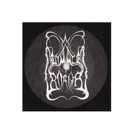 0727361154516, Виниловая пластинка Dimmu Borgir, Stormblast - фото 11