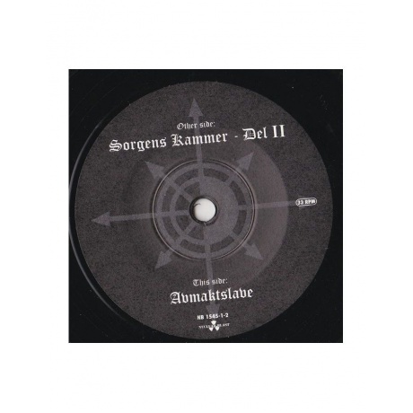 0727361154516, Виниловая пластинка Dimmu Borgir, Stormblast - фото 12