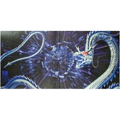 Dragonforce - Reaching Into Infinity (4029759119531) виниловая пластинка - фото 7