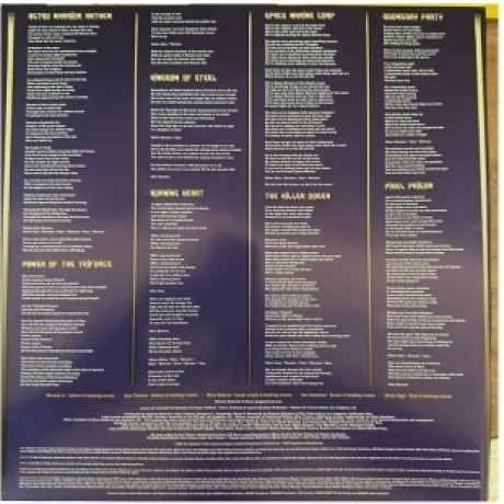 Dragonforce - Warp Speed Warriors (0810137309729) виниловая пластинка - фото 5